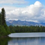 Stopping to Smell the Wild Roses: A Nature Walk Around Alaska’s Byers Lake