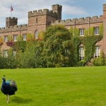 Scone Palace Has Nothing to Do With Scone Pastries