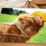 Travel Memories Never Looked So Good: A Print Mounted on Acrylic