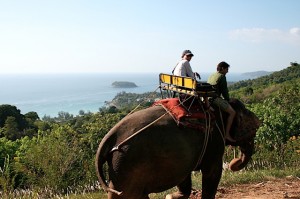 elephant_ride Elephant ride time!