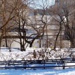 A Very White Day-After Christmas for NYC