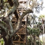 Getting High in Florida: Myakka Canopy Walkway