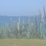 How Humid Is It in the Virgin Islands in June?