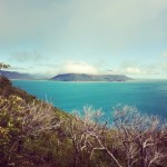 Fitzroy Island, Australia: Tropical Paradise, Grandparents Included