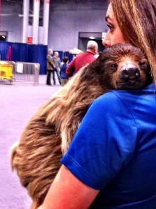 sloth seaworld new york times travel show