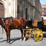 Horse-Drawn Carriages in Seville