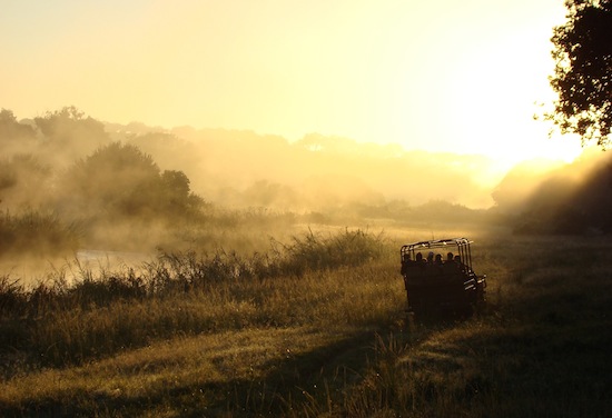 Sabi Sands Private Game Reserve in South Africa