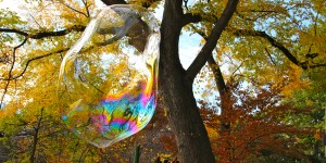 Fall Foliage in Central Park and The Bubble Man